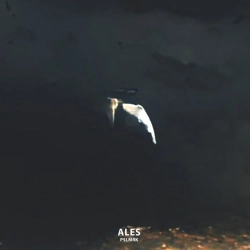 Pslmrk - Ales