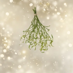 Randish - Christmas All the Time