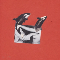 Regina Collage - Nothing