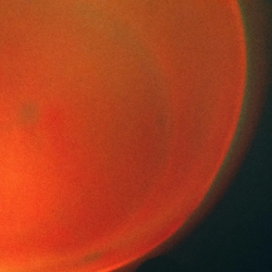 ripcity - сонце