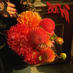 Ризиковий План & Siddhārtha - Вогні