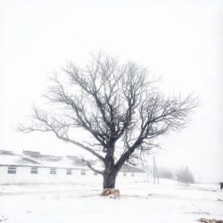 Сашко Дворецький & renie cares & Дусік & Moann - нема