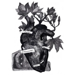 Schmalgauzen - Jessica - Single Version