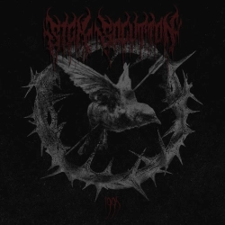 Sick Solution & АННА - Скруха