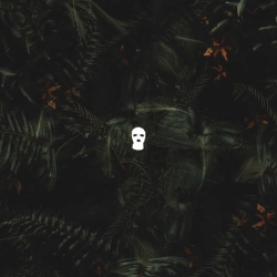 Silecut - nas ne dogonyat