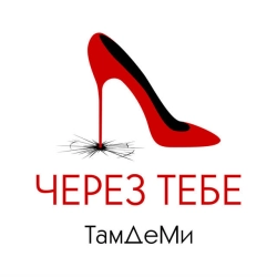 ТамДеМи - Через тебе