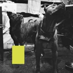 ТИСК - Відверто