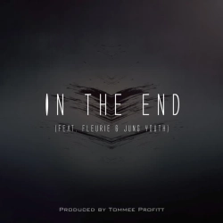 Tommee Profitt & Fleurie & Mellen Gi - In The End - Mellen Gi Remix