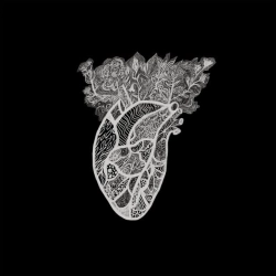 ummsbiaus - Poklyk Mavok - Clarion of Nymphs