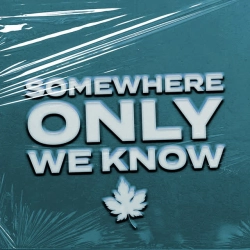 Umur Anil Gokdag - Somewhere Only We Know
