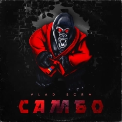 VLAD SCRM - Самбо