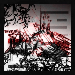 XenjeS - Organic's Decay